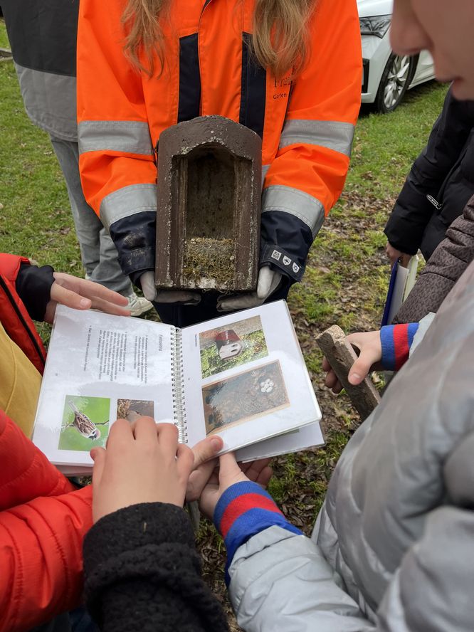 Schülerinnen und Schüler reinigen und kontrollieren Nistkästen