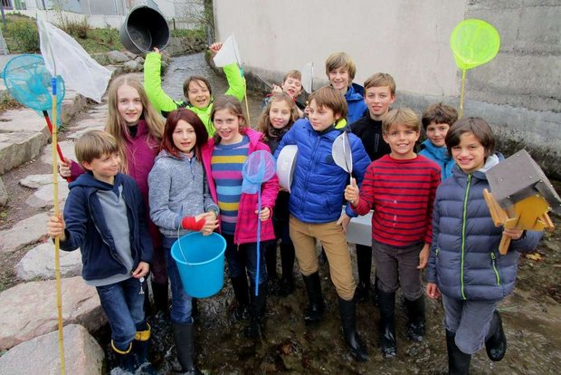 Schülerinnen und Schüler mit Keschern und Eimern in einem Bach 