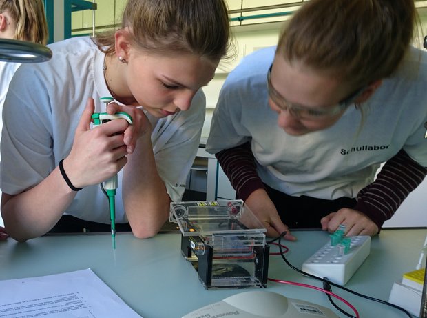 Schülerinnen beim Pipettieren